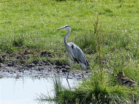 Reiseblickpunkte Greetsiel Ostfriesland Nordsee