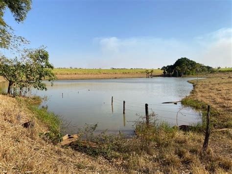 Fazenda de 51 alqueires em Carmo do Rio verde GO Terrenos sítios e