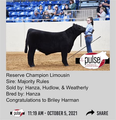 2021 Tulsa State Fair Prospect Steer Show