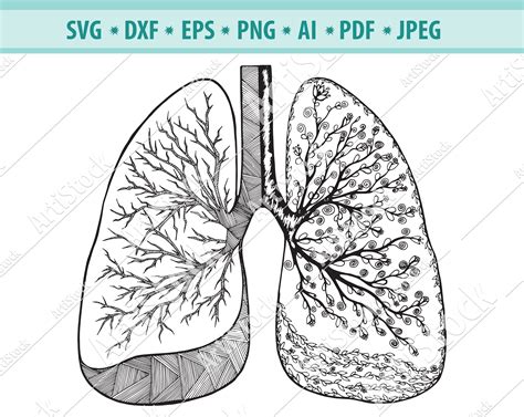 Human Lung Svg Lungs Svg Flowery Human Lung Silhouette Etsy