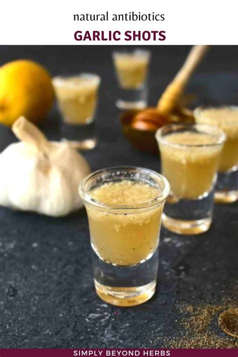 Garlic Shots Immune Boosting Wellness Shots Wellness Shots Garlic