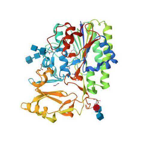 RCSB PDB 5EGH Structure Of ENPP6 A Choline Specific