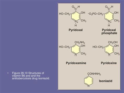 Ppt Vitamins Powerpoint Presentation Free Download Id 569837