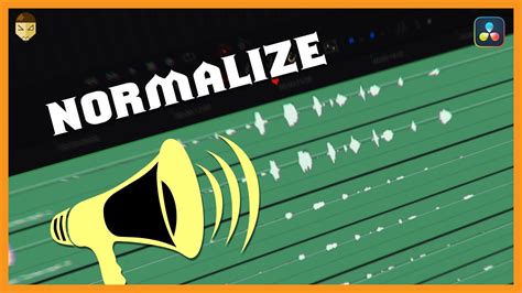 Normalize Audio Options DaVinci Resolve YouTube
