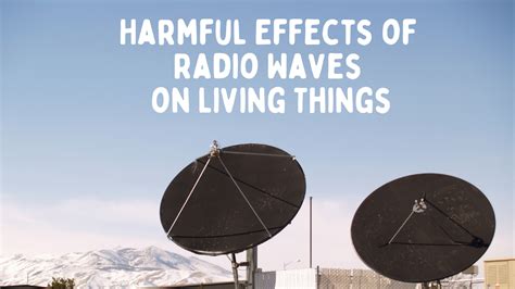 Harmful Effects Of Radio Waves On Living Things