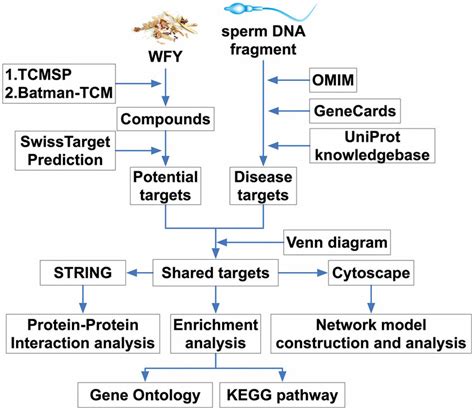 Flowcharts For Network Pharmacology Analysis Download Scientific Diagram