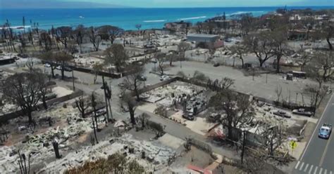 Rasa al suolo dagli incendi ecco cosa resta della città turistica di