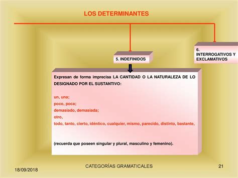 El Determinante Y El Pronombre Ppt Descargar