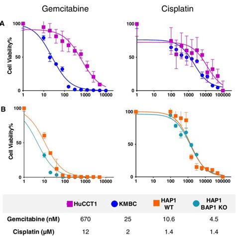 Concentration Dependent Cytotoxic Effect Of Gemcitabine Or Cisplatin