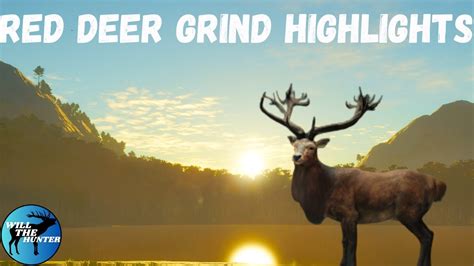 Red Deer Grind Highlights Diamonds A Rare Piebald Thehunter Call Of