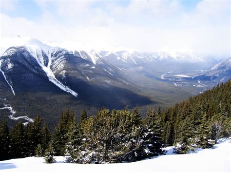 Sulphur Mountain, Banff 2 Free Photo Download | FreeImages