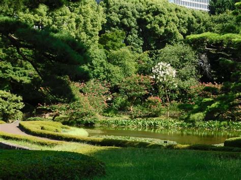 Imperial Palace East Gardens: What to See & Best Times to Visit