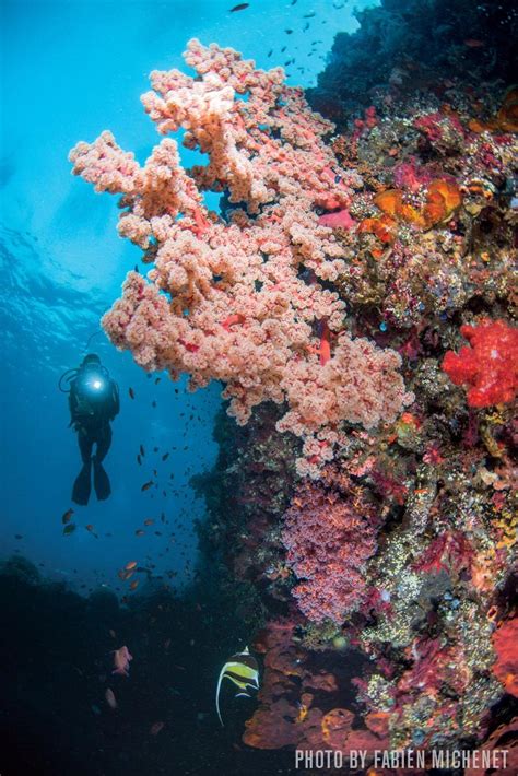 World's Best Locations for Easy Wreck Scuba Diving | Scuba Diving