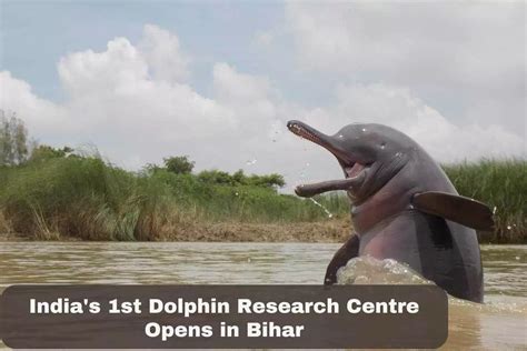 India S 1st Dolphin Research Centre Opens In Bihar UPSC Colorfull Notes