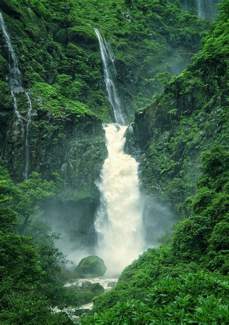 Banco de imagens agua recursos hídricos plantar Ecoregião verde