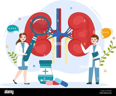 Nephrologist Illustration With Cardiologist Proctologist And Treat