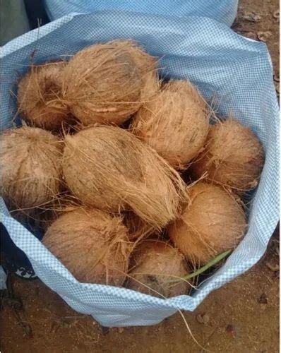 A Grade Medium Solid Semi Husked Coconut Packaging Size Piece At