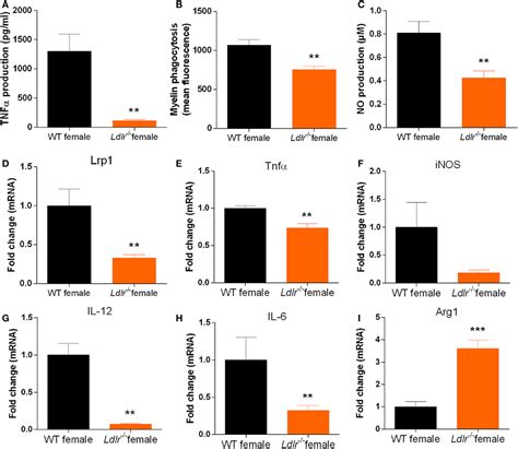 Frontiers Low Density Lipoprotein Receptor Deficiency Attenuates