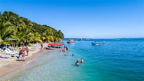 Tour Playa Estrella Bocas Del Toro Tours Deepboard Undersea