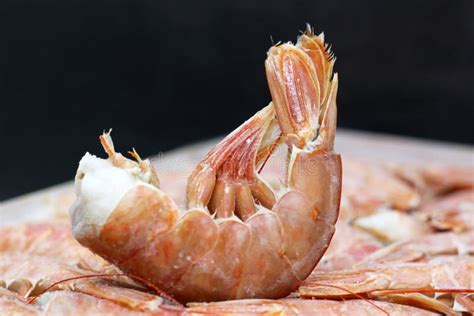 Fresh Raw Frozen Langoustines So Close Stock Image Image Of Healthy