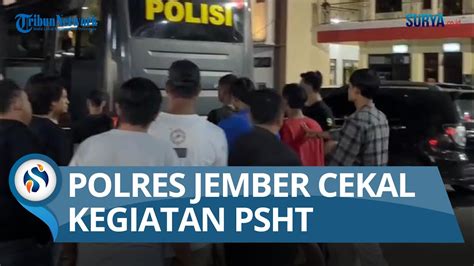 Pesilat Keroyok Polisi Polres Jember Tangguhkan Kegiatan PSHT YouTube