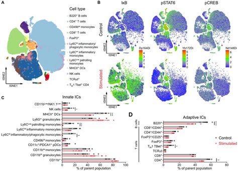 Crhpvn神经元激活导致了免疫抑制 Li Et Al Science Advances 2020 复旦大学脑科学转化研究院