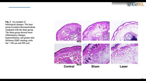 Sandg Tmc S And G Bio Product