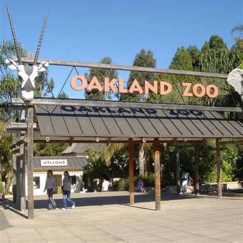 Oakland Zoo - All You Need to Know BEFORE You Go (with Photos)