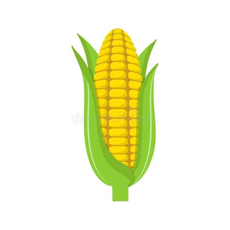 Corn Cob Clip Art Stock Illustrations 316 Corn Cob Clip Art Stock Illustrations Vectors