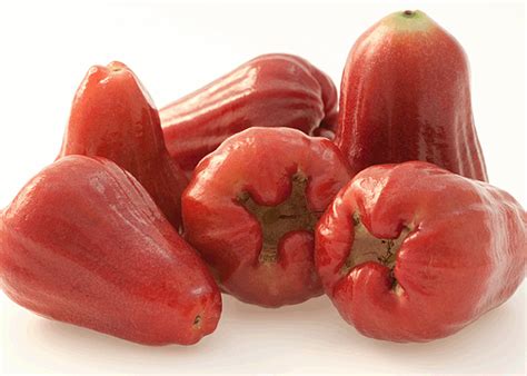 5 Health Benefits Of Rose Apple You May Not Know About