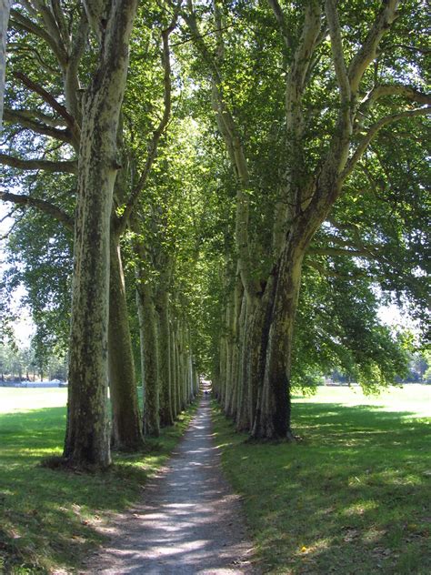 Le Canal Du Midi Au Seuil De Naurouze Photo Prise Le Mard Flickr