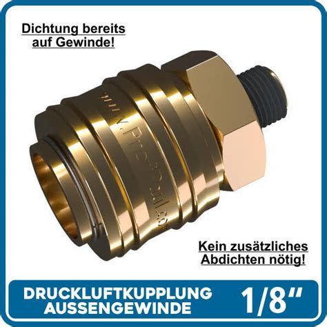 Druckluftkupplungen Stecker Messing Dn Profipaul Ebay