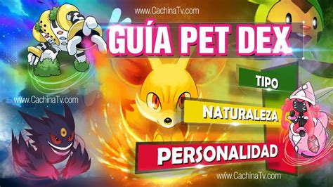 Guía Personalidades Pokémon PET DEX Monstruo Origen YouTube