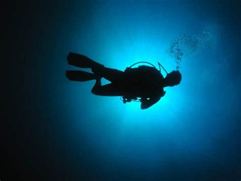 Scuba Diver Graphy Shadow Silhouette Creative Scuba Diving Blue