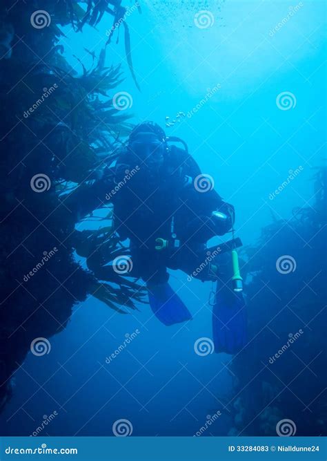 Scuba diving in Ireland stock image. Image of atlantic - 33284083