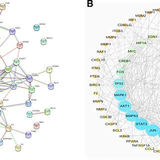 Network Diagram Of Drug Component Target Disease Interactions In The