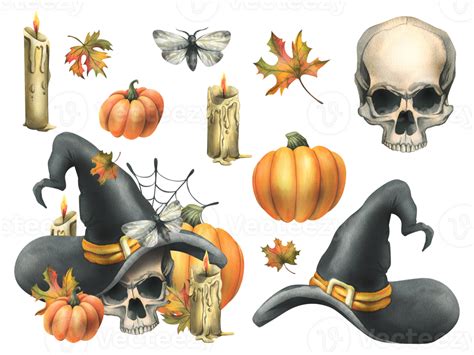 Human Skull In A Black Witch Hat With Orange Pumpkins Cobwebs Candles And Autumn Maple Leaves