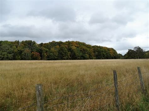 Autumn Woods Along The Derwent Robert Graham Geograph Britain And