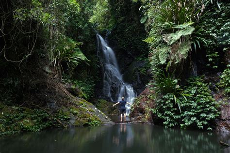 Lamington National Park - Scotty Pass