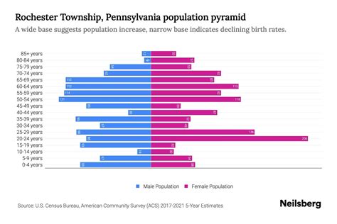 Rochester Township, Pennsylvania Population by Age - 2023 Rochester ...