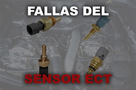 Fallas Del Sensor De Detonación Todas Las Fallas Y Soluciones