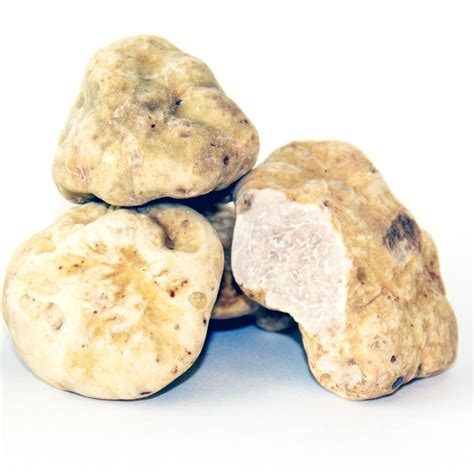 Fresh White Truffles Tuber Magnatum Pico Oz Gr By Taste Of