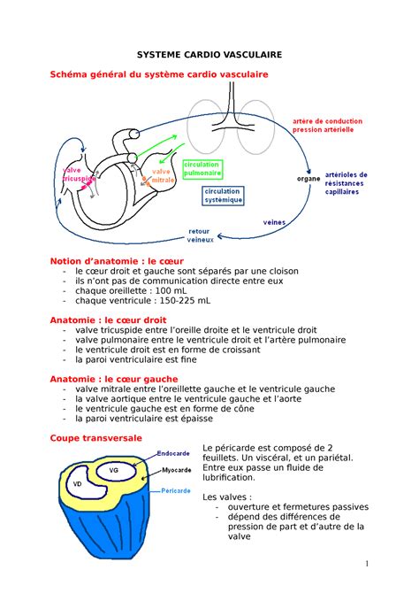 Systeme Cardio Vasculaire SYSTEME CARDIO VASCULAIRE Schéma général du