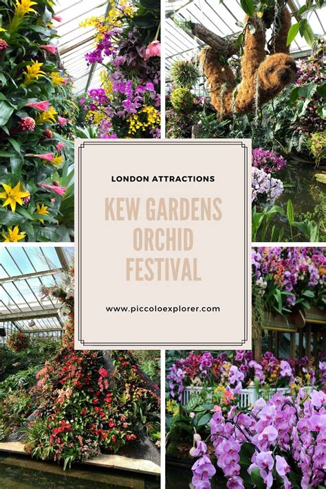 Kew Orchid Festival Royal Botanic Gardens At Kew London