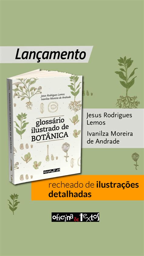 Livro Gloss Rio Ilustrado De Nica Sociedade Nica Do Brasil