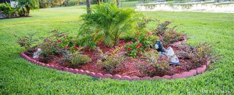 Красивые цветы на вашем участке. Обсуждение на LiveInternet ...