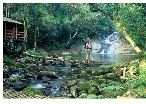 Magoebaskloof Hiking Trail View For More Awesometools At