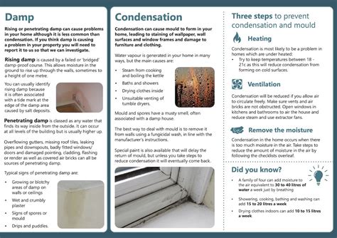 Action To Tackle Mould And Damp Issues In Council Housing South Leeds