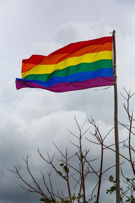 Ondeando La Bandera Arco Iris Del Orgullo Gay Imagen De Archivo Imagen De Textura Libertad