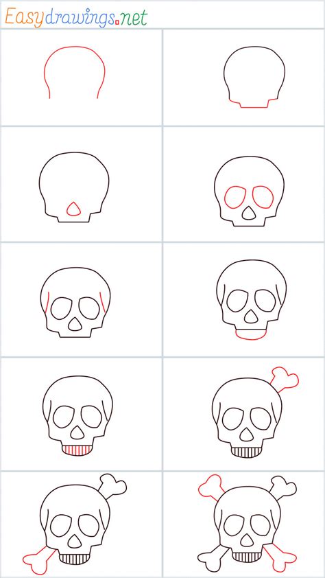 How To Draw A Human Skull Step By Step Drawing Tutorials Drawing